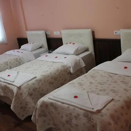 Hotel Belis *